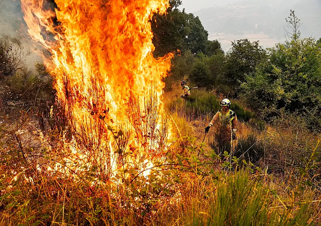 Denuncian abandono institucional tras el incendio que arrasó el Parque Regional Montaña de Riaño y Mampodre
