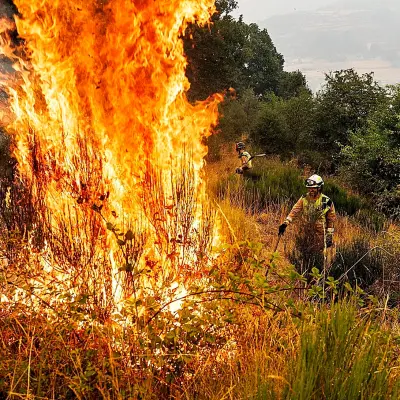 Denuncian abandono institucional tras el incendio que arrasó el Parque Regional Montaña de Riaño y Mampodre