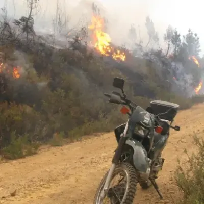 No, no se puede recalificar suelo quemado para construir de forma inmediata: esto es lo que dice la normativa