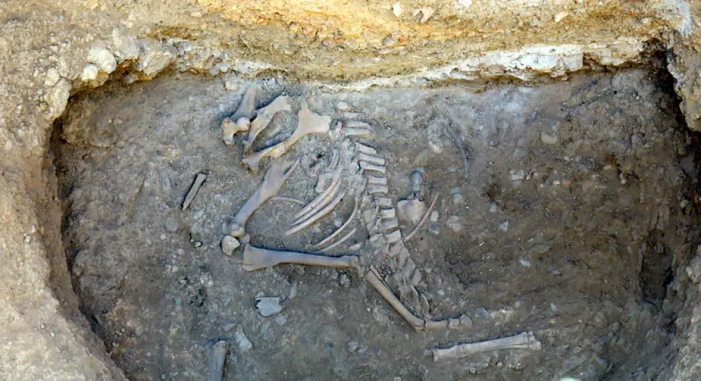 La ciudad perdida de Intercatia