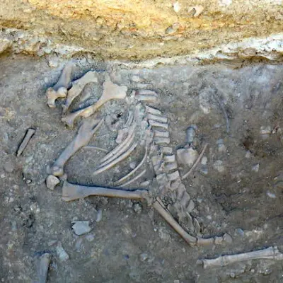 La ciudad perdida de Intercatia