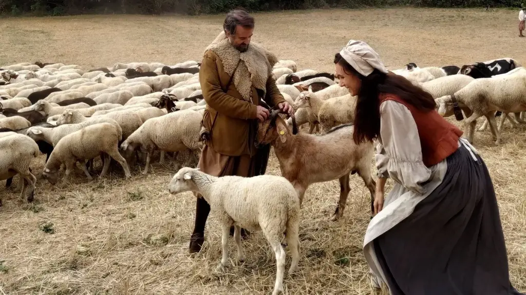Las cañadas y la Mesta
