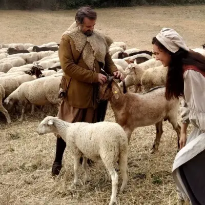 Las cañadas y la Mesta