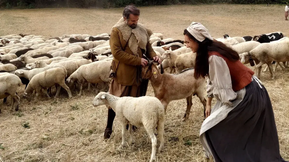 Las cañadas y la Mesta