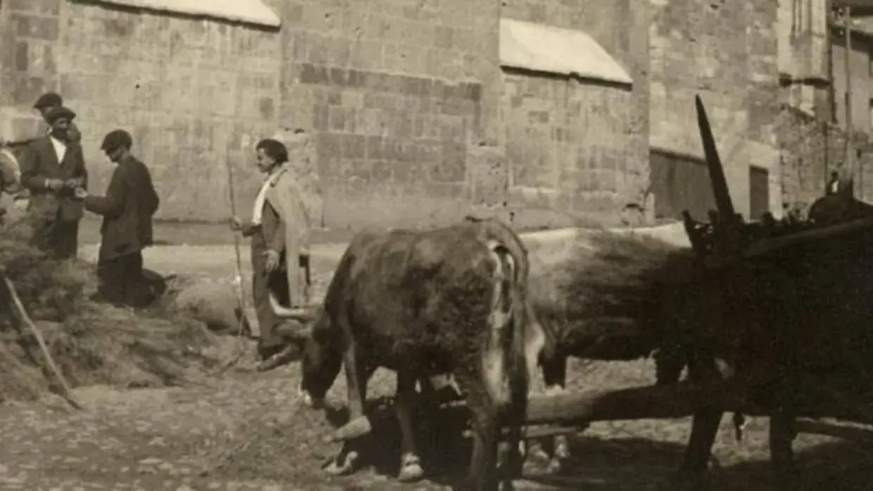 Cuando la lengua era nuestra sin saberlo