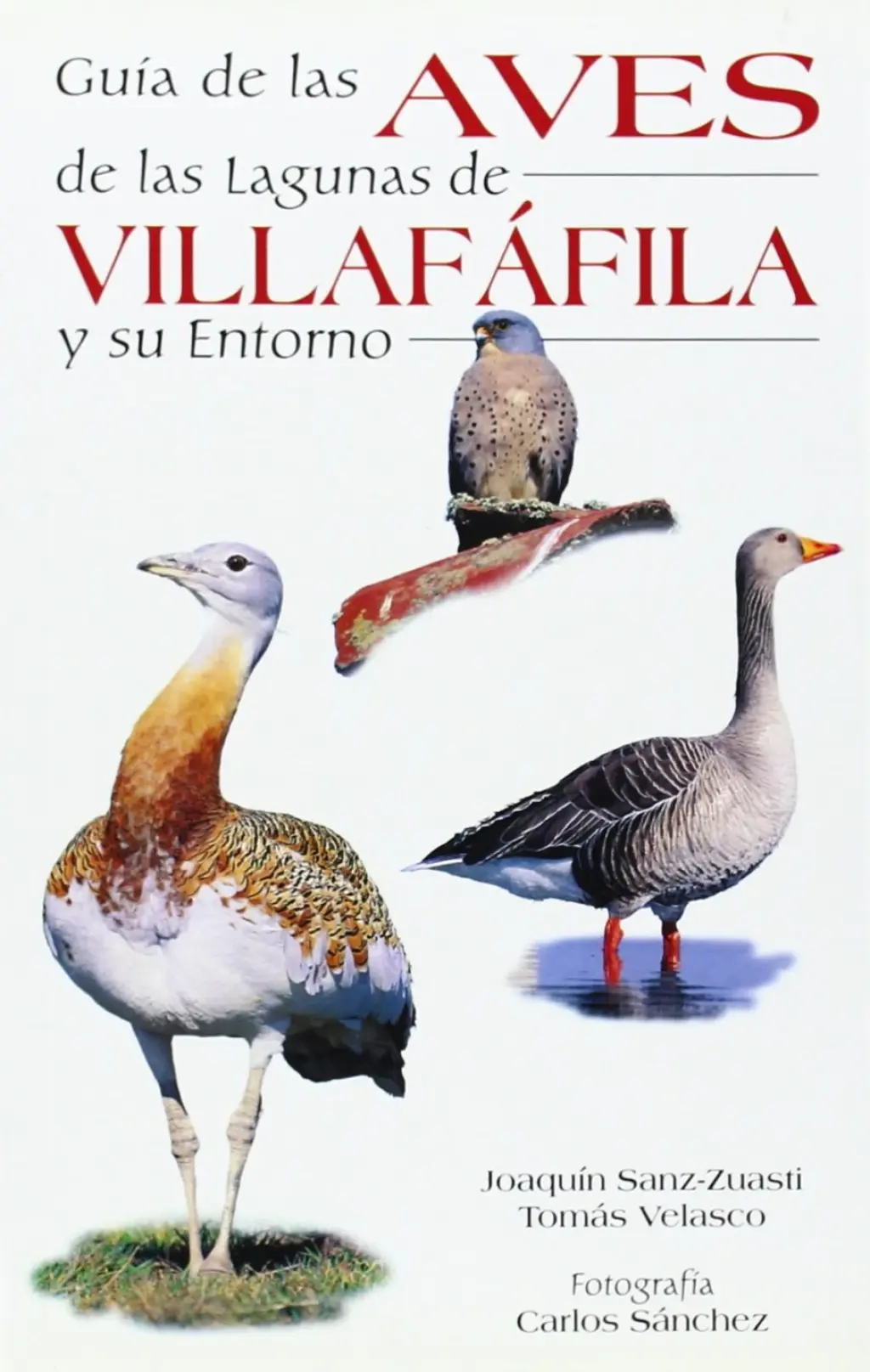 Guía de las aves de las Lagunas de Villafáfila y su entorno