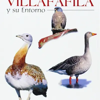 Guía de las aves de las Lagunas de Villafáfila y su entorno