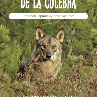 Lobos de la Sierra de la Culebra. Presencia, apuntes y observaciones