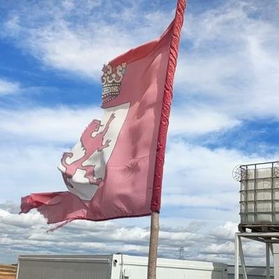 Lancia: La ciudad más poderosa de los astures