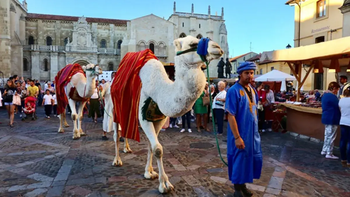 mercado-san-froilan-llion
