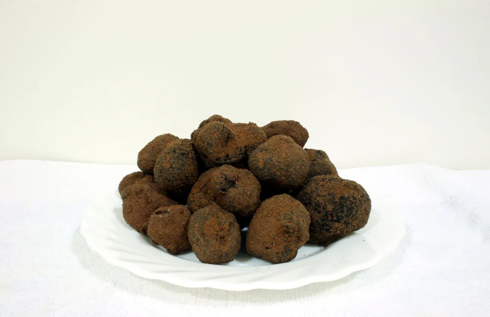 Tuber melanosporum