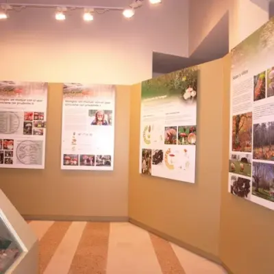 Denuncian el uso del Museo Micológico de Rabanales para una celebración privada de la familia del alcalde