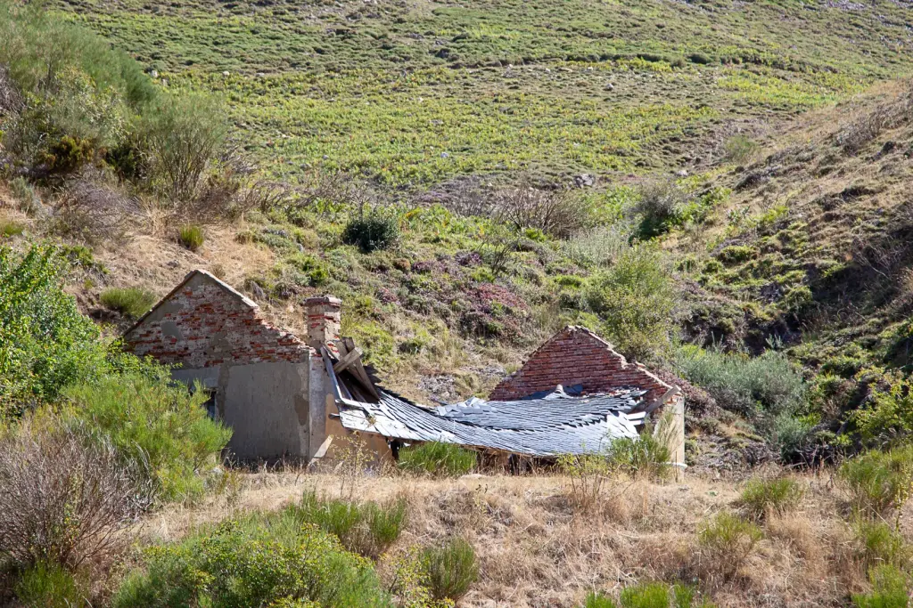 León, provincia minera