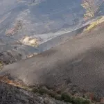 Permitir la ganadería y la caza en los montes calcinados de León es un despropósito infame