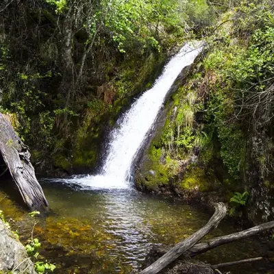 Las Fuentes Medicinales de Noceda: Un tesoro terapéutico