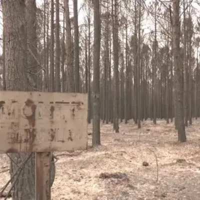 Paja, cenizas y escepticismo: el vídeo viral que retrata el abandono del monte leonés
