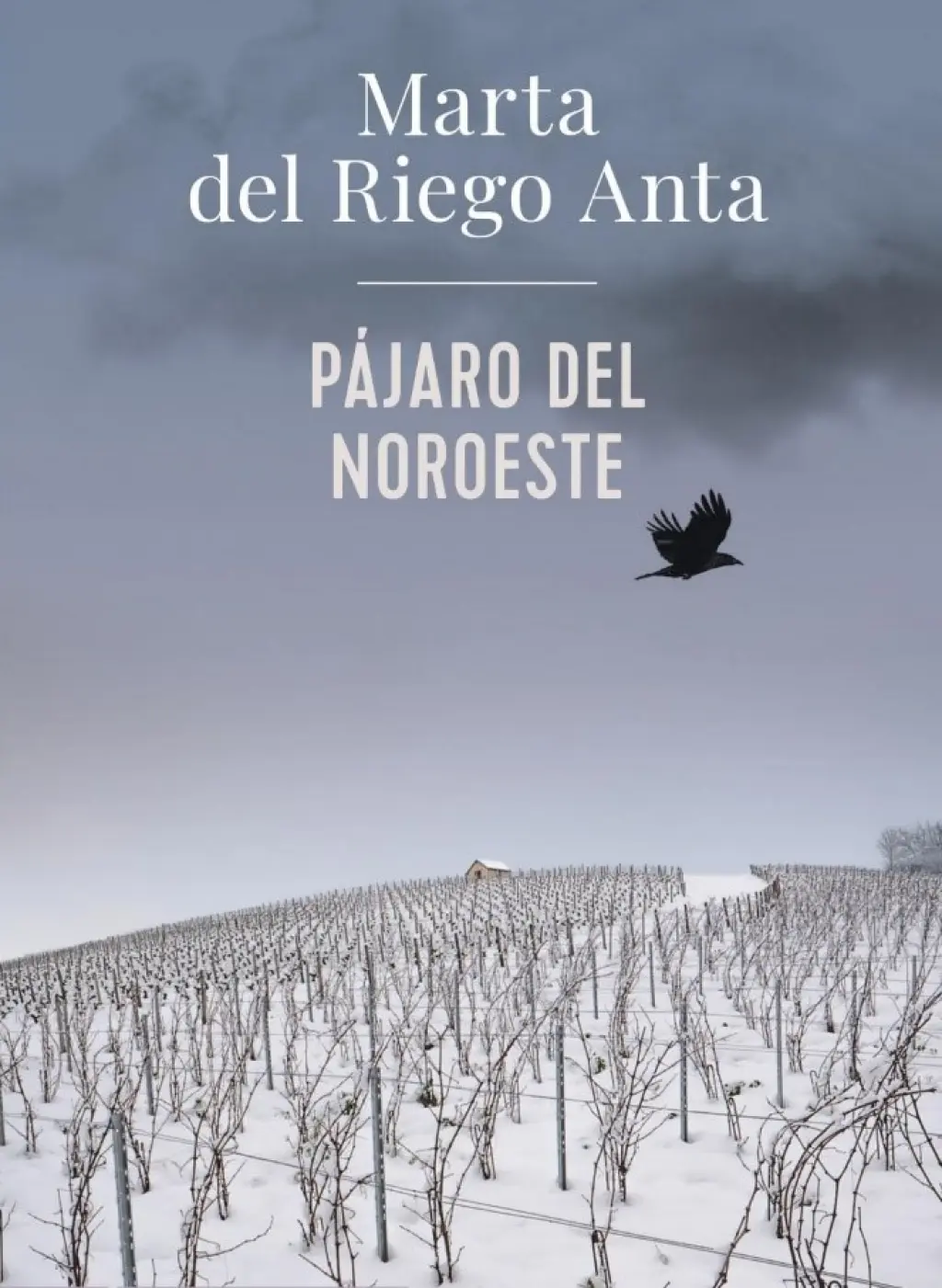 Pájaro del noroeste