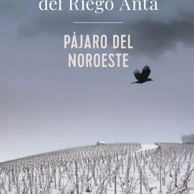 Pájaro del noroeste