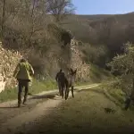Palacios de Compludo. Reportaje