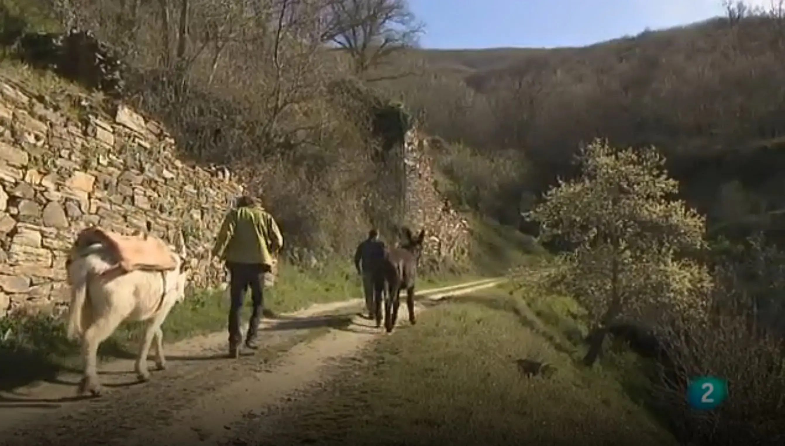 Palacios de Compludo. Reportaje