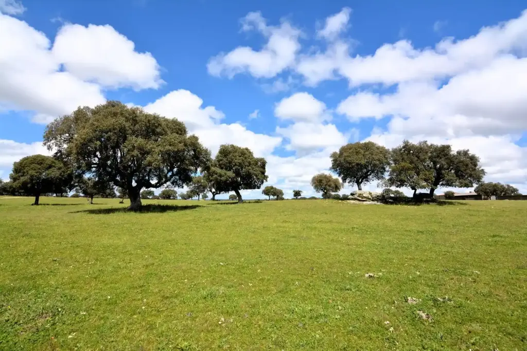 Las penillanuras de Salamanca y Zamora