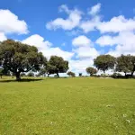 Las penillanuras de Salamanca y Zamora