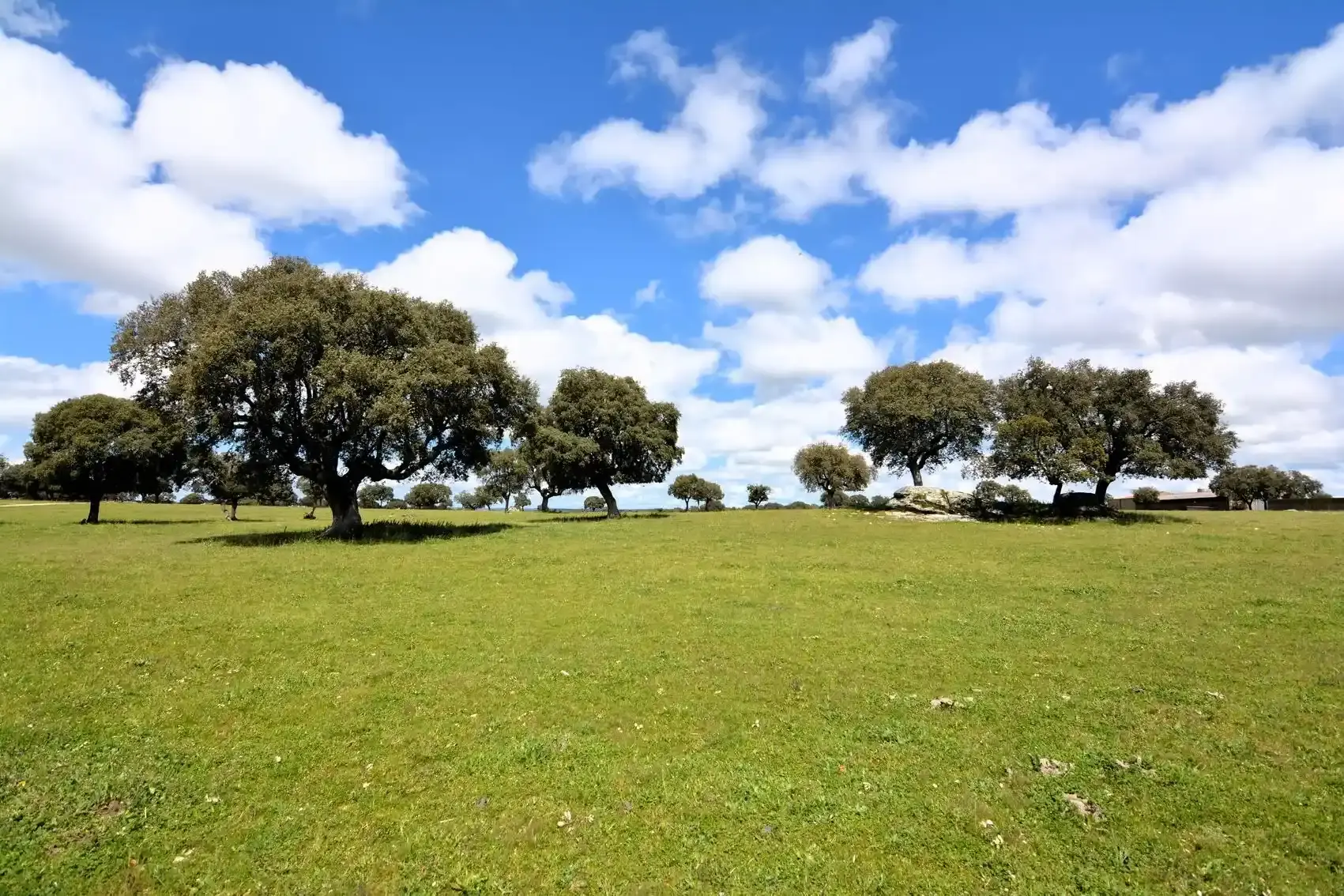 Las penillanuras de Salamanca y Zamora