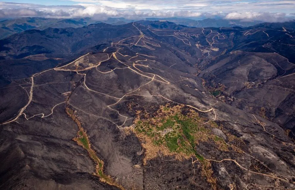 El Tribunal Superior de Justicia de CyL anula parte del Decreto de cambio de uso forestal