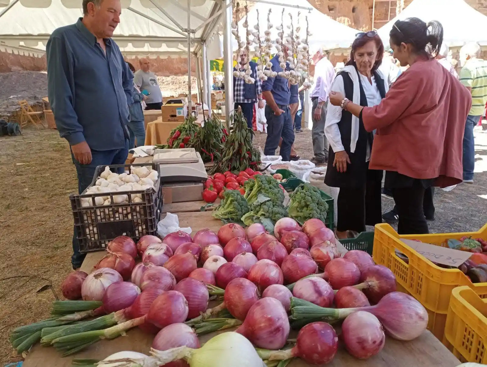 La Diputación de León respalda con 400.000 euros la organización de ferias agropecuarias en la provincia