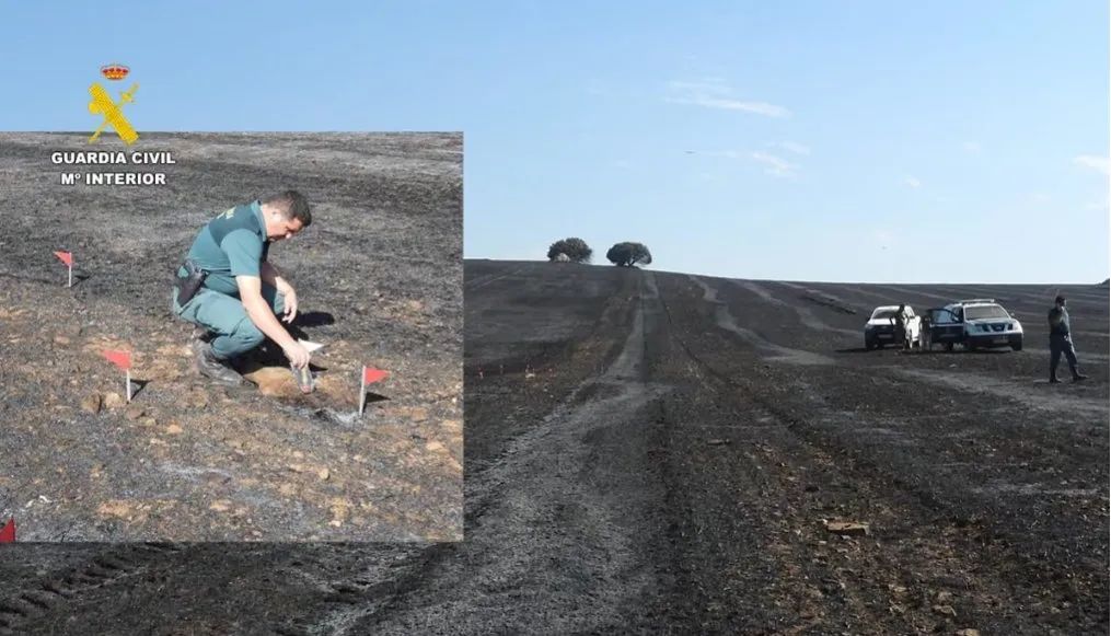 Investigan al presunto responsable del incendio forestal en Rábano de Aliste