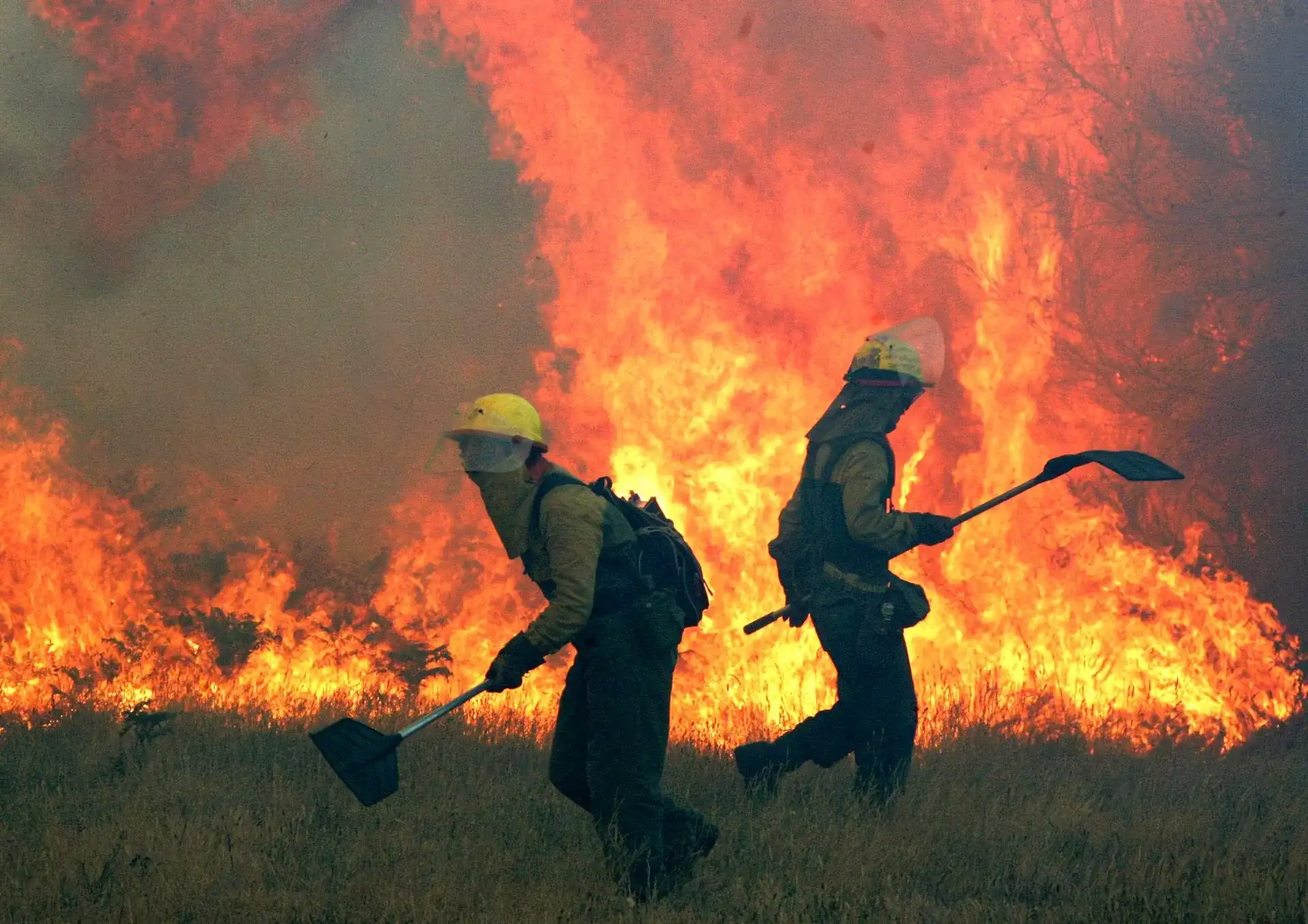 Sofocado un rebrote en Mámoles en el incendio de Arribes que ya quema 11.000 hectáreas