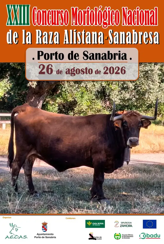 XIII Concurso Morfológico Nacional de la Raza Alistana-Sanabresa