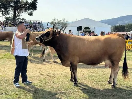 XLVI Concurso-Exposición de Ganado de Montaña en Puebla de Lillo