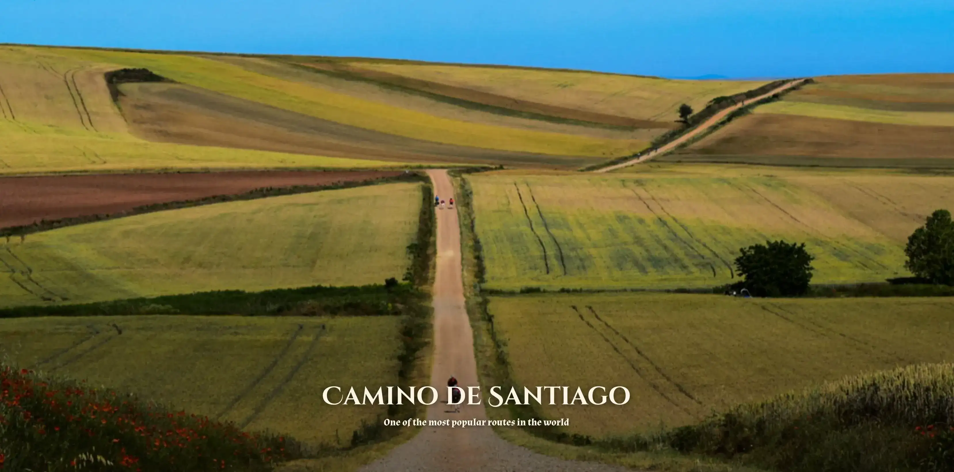 ¿Conoces los Caminos de Santiago por la Región Leonesa?