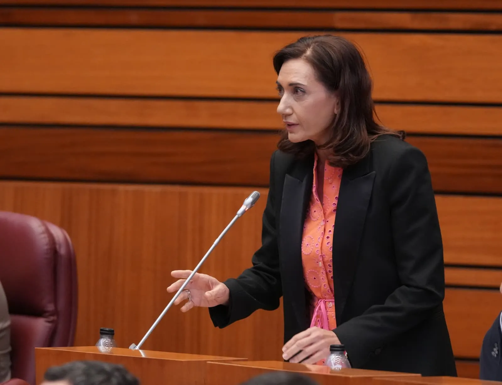UPL decidirá en su Consejo General si se presenta a las elecciones generales del 29-N