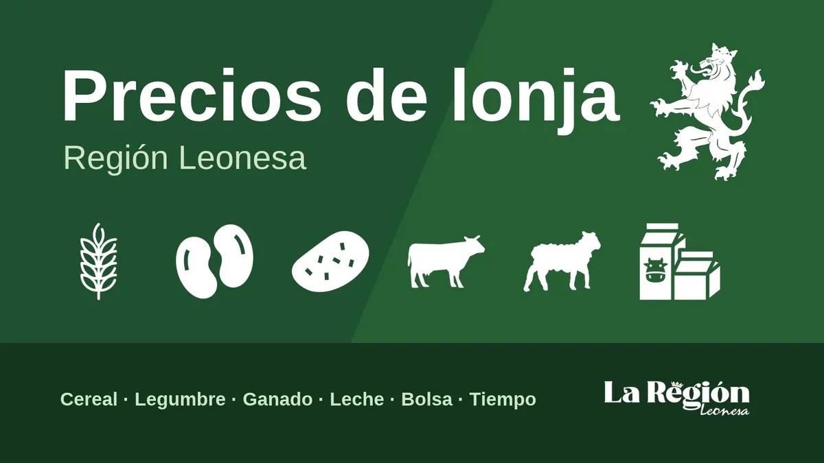 Estrenamos El Campo: información completa para agricultores y ganaderos de la Región Leonesa