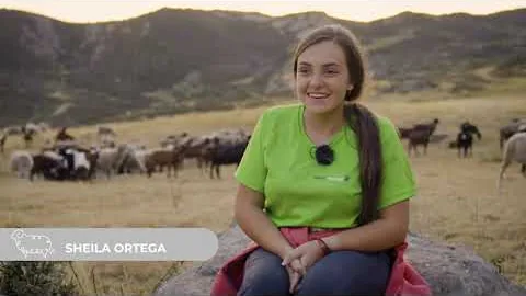 Aventura trashumante