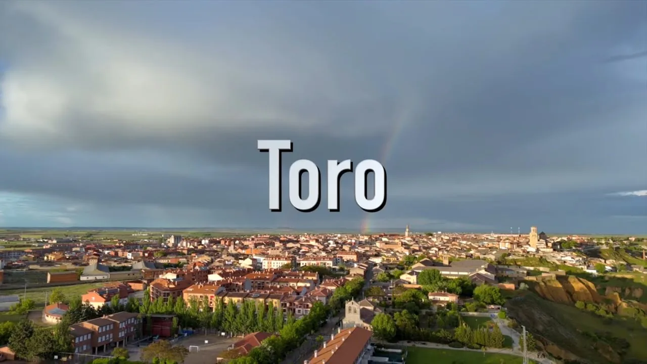 Vente a vivir a un pueblo: Toro