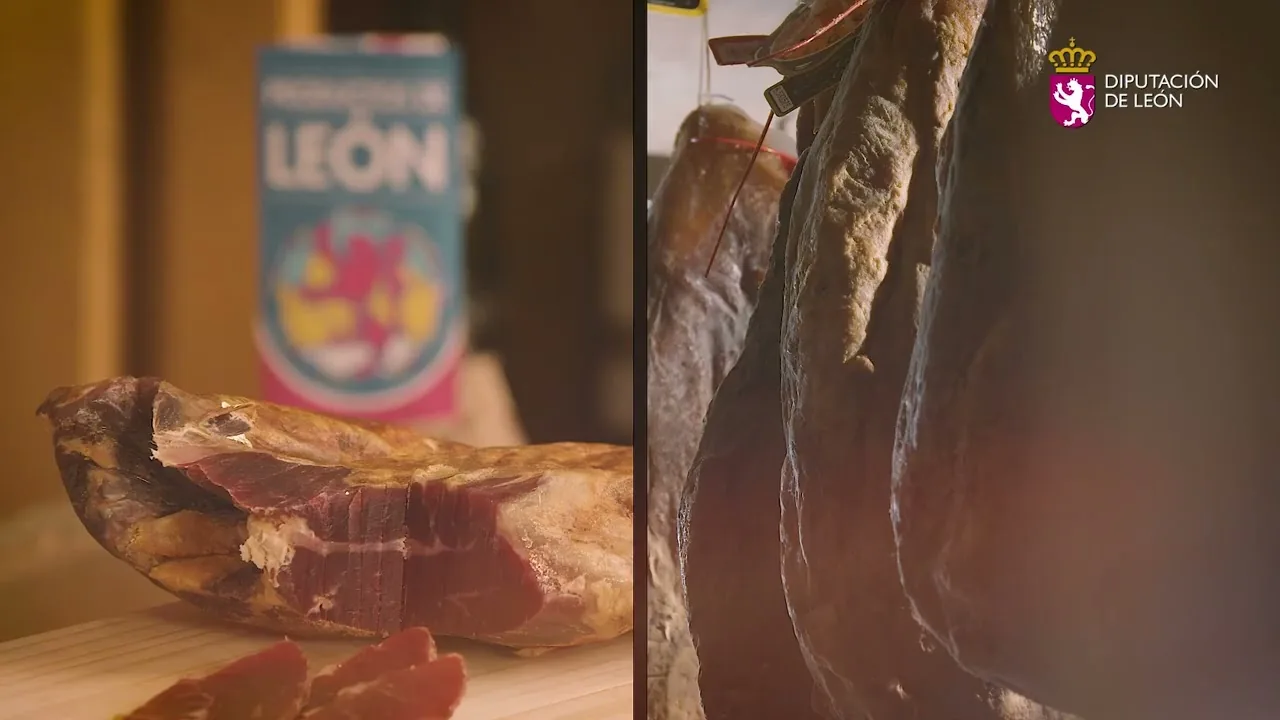 Los contrastes de León