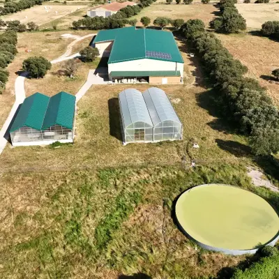 El primer matadero de ranas de España abrirá en Zamora en 2026