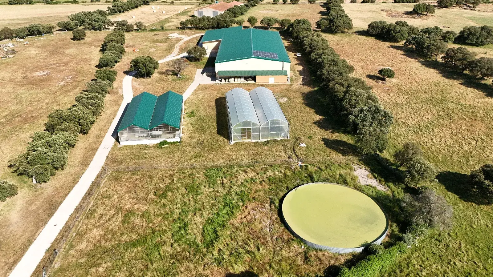 El primer matadero de ranas de España abrirá en Zamora en 2026