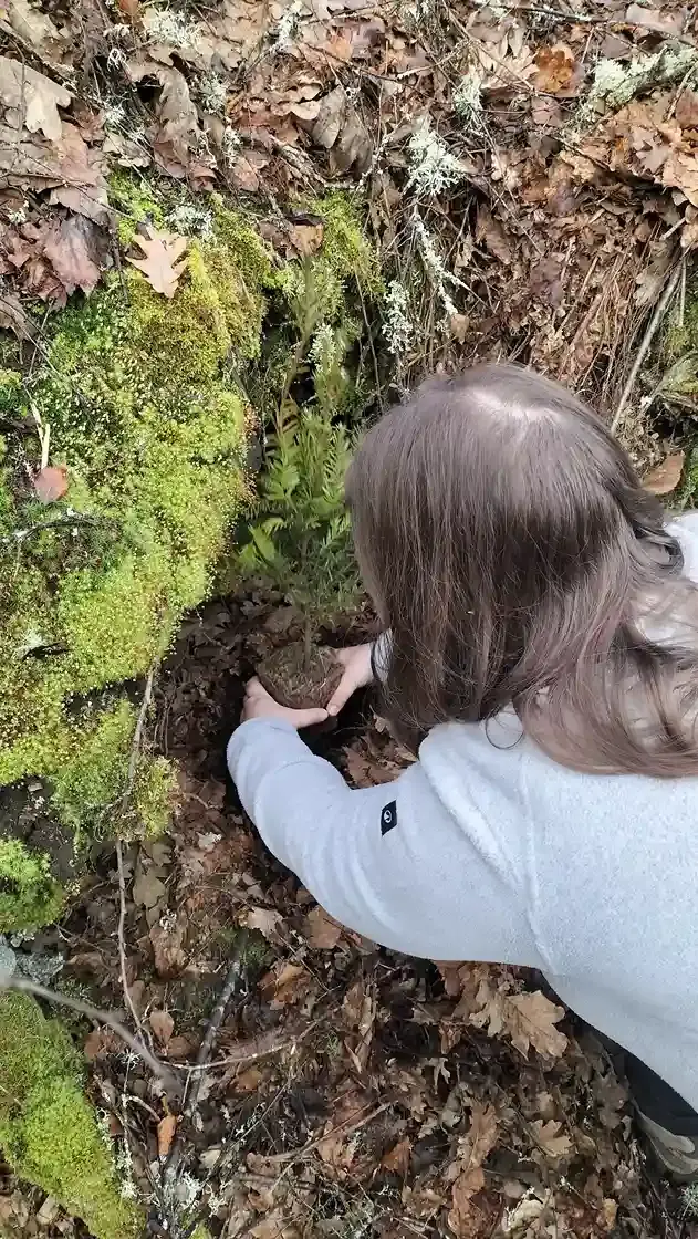 reforestacion-cryiosanabria (1)