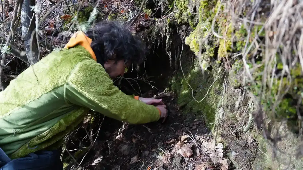 La asociación Cryosanabria celebró el Día Forestal Mundial con una reforestación