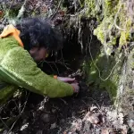 La asociación Cryosanabria celebró el Día Forestal Mundial con una reforestación