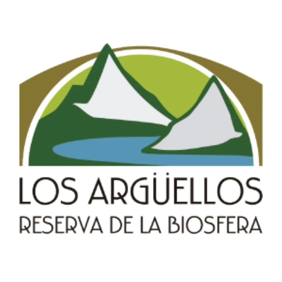 Logo Los Argüellos