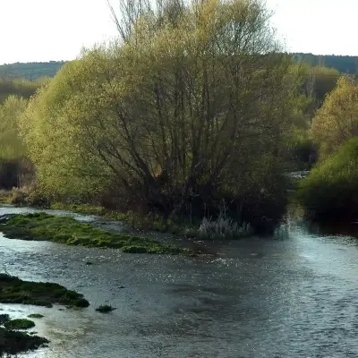 Hidronimia en la provincia leonesa