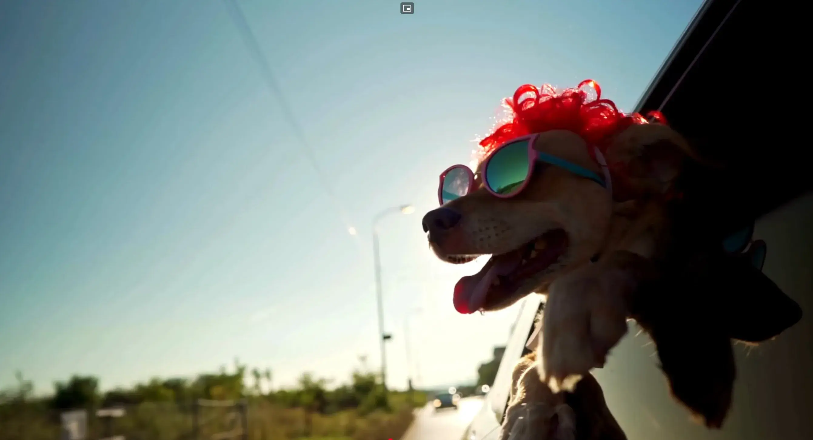 Deja de Soñar. Región Leonesa ¡Vívela!