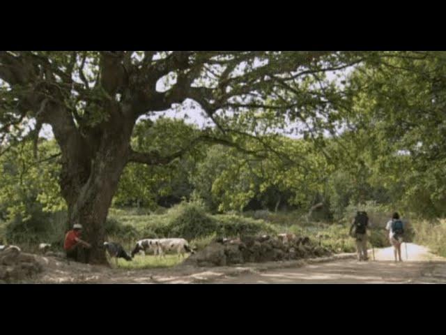 El Camino francés. Documental de 2004