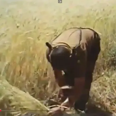 Tierra del Pan (Zamora) 1975