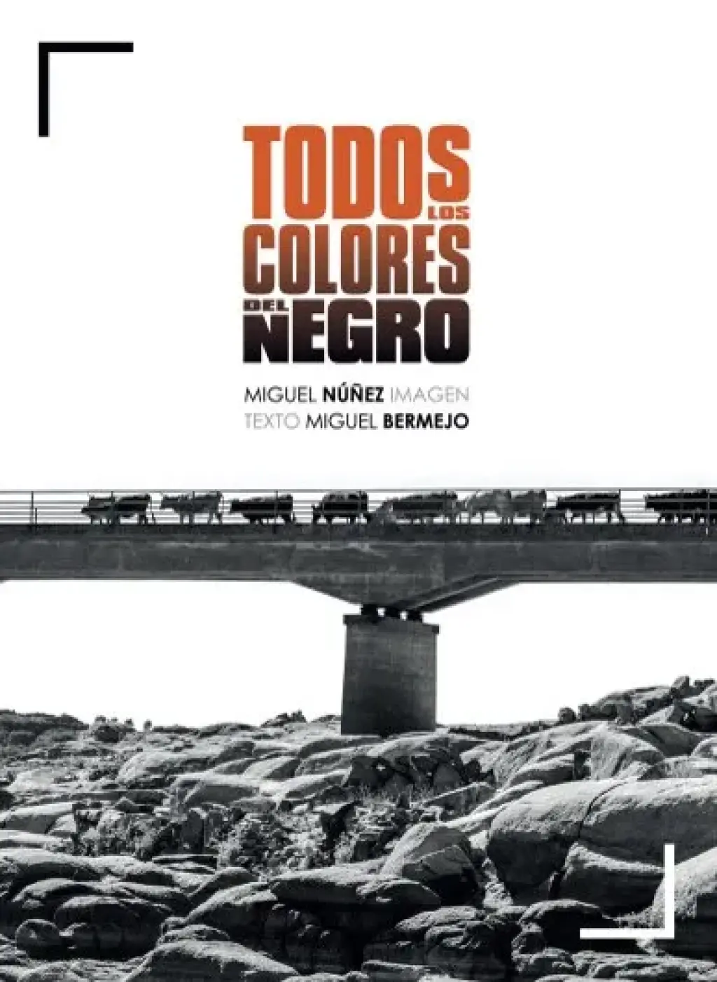Todos los colores del negro